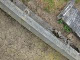 image of grave number 800846